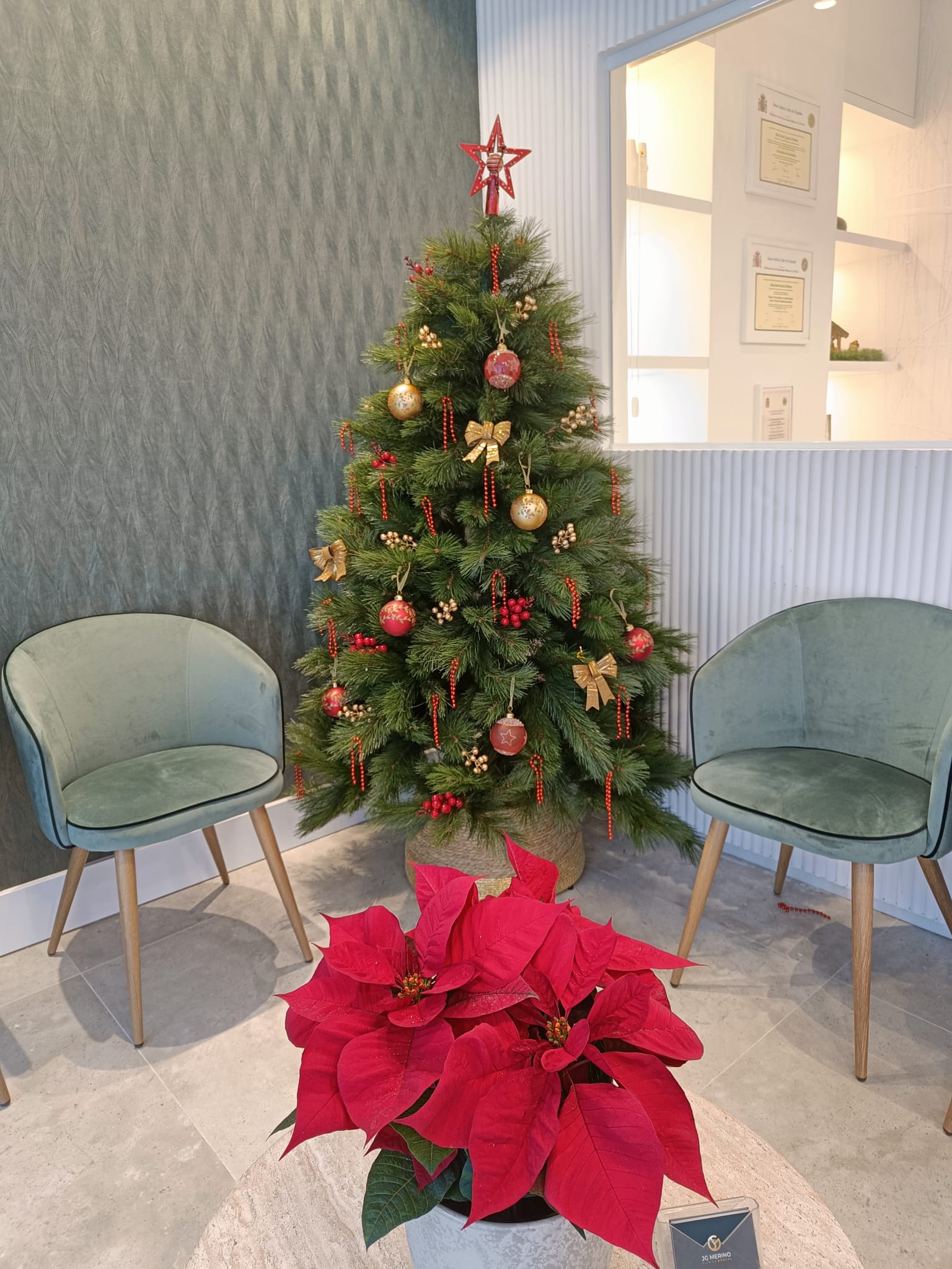 clinica denta jaen feliz navidad decoracion dentista (2)